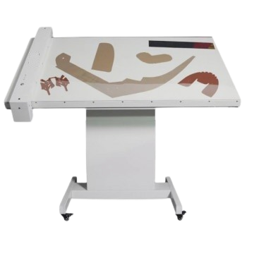 Scanning Digitizer